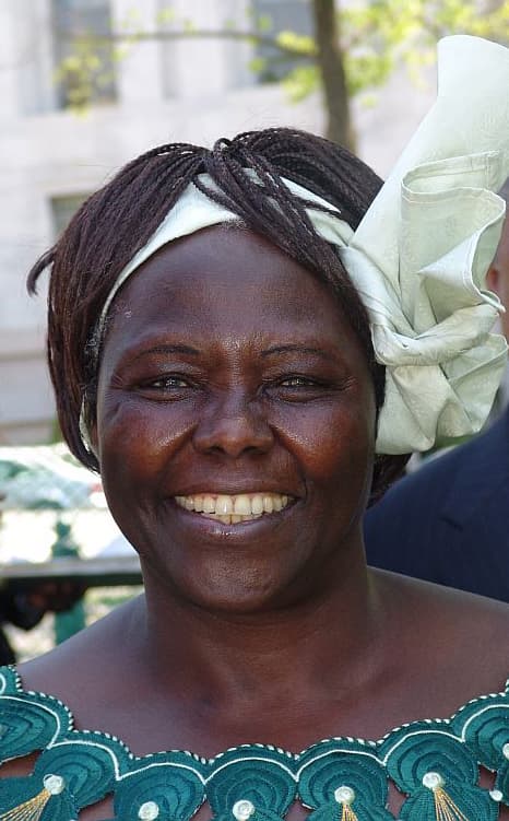 Wangari Muta Maathai